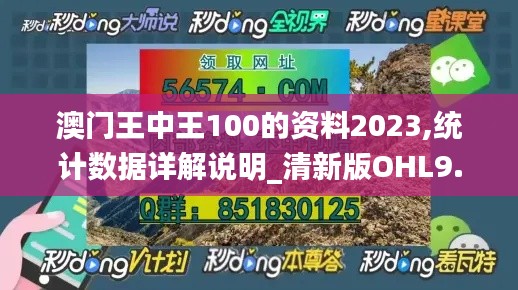 澳门王中王100的资料2023,统计数据详解说明_清新版OHL9.8