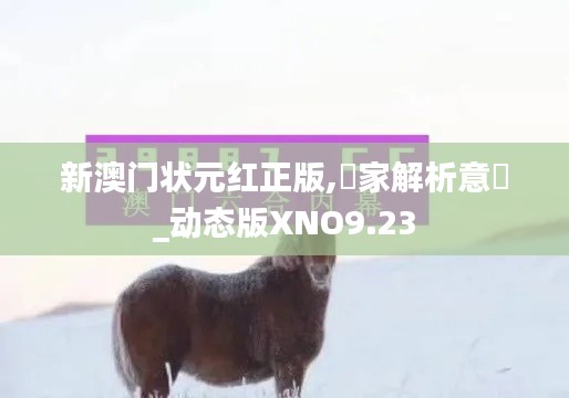 新澳门状元红正版,專家解析意見_动态版XNO9.23