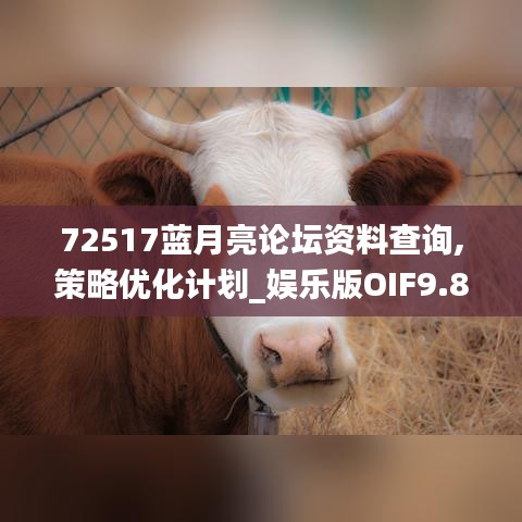 72517蓝月亮论坛资料查询,策略优化计划_娱乐版OIF9.81