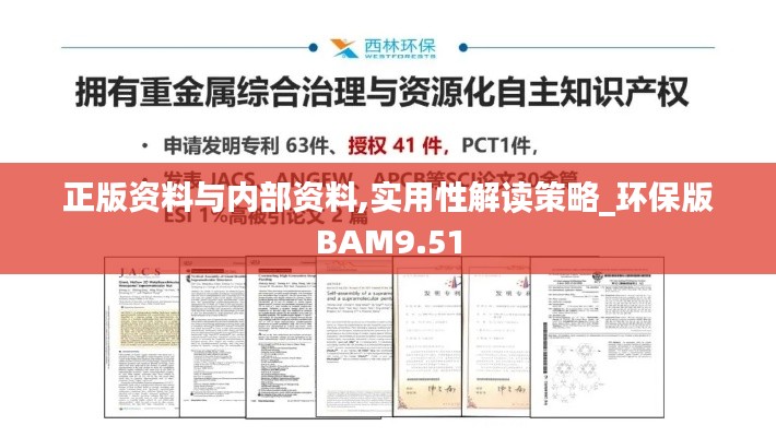 正版资料与内部资料,实用性解读策略_环保版BAM9.51