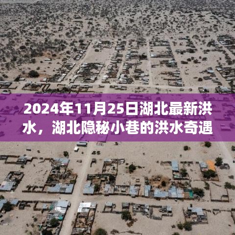 湖北隐秘小巷洪水奇遇，特色小店的洪水故事（2024年11月25日最新）