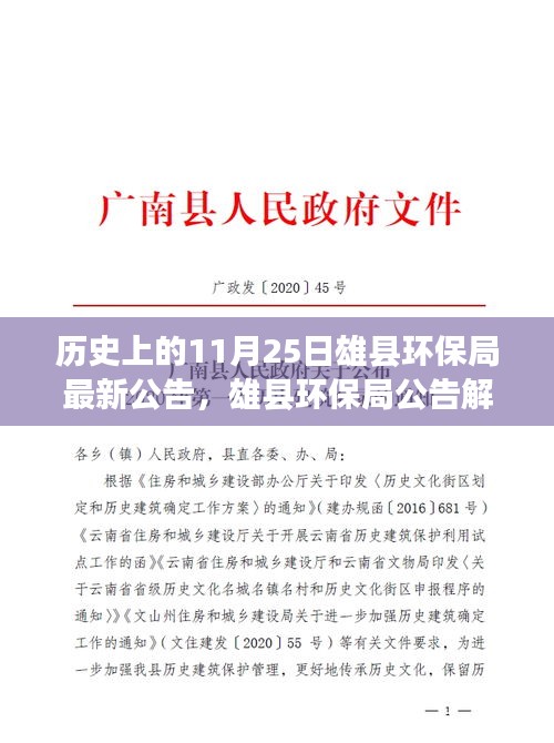 雄县环保局发布最新公告，解读环保指南，共筑环保防线，保护我们的环境