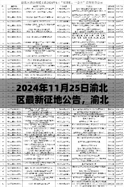 渝北区最新征地公告发布，洞悉要点与细节（2024年11月25日）