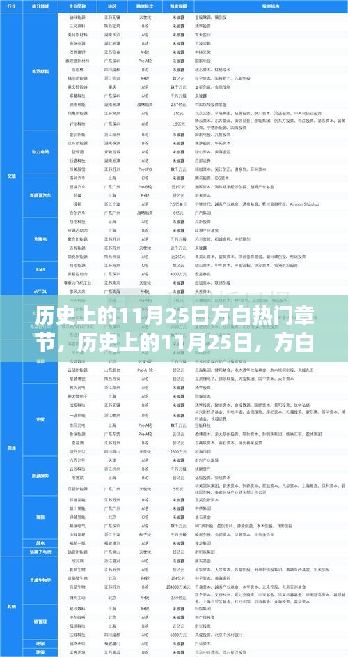 历史上的11月25日方白热门章节深度解析与探讨