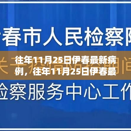 往年11月25日伊春病例分析与防控策略探讨，成效与未来方向