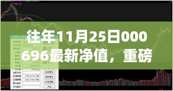 揭秘往年11月25日基金净值，深度解析000696最新净值，投资走向指引！