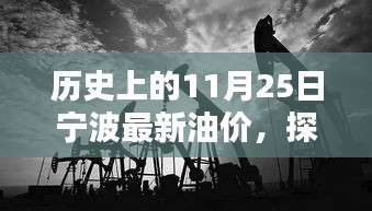 宁波油价传奇，揭秘历史油价变迁与小巷特色小店的独特风采（11月25日回顾）