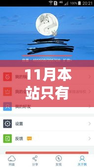 初学者与进阶用户指南，11月本站精品热门资源获取全攻略