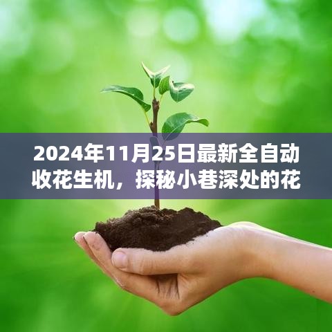 探秘全新全自动收花生机，小巷深处的花生收获革命，2024年最新技术惊艳亮相