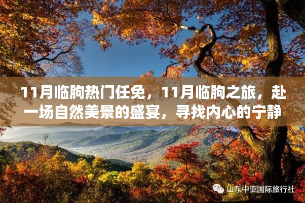 11月临朐之旅，自然美景的盛宴与内心的宁静与平和