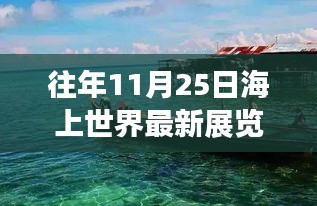 往年11月25日海上世界展览盛况，海上盛宴与多维解读揭秘