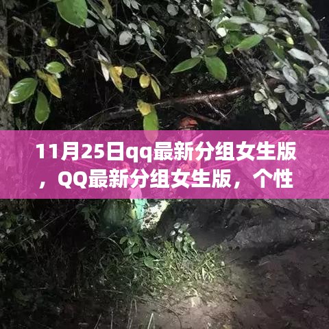 QQ最新女生版分组，个性表达的新风尚