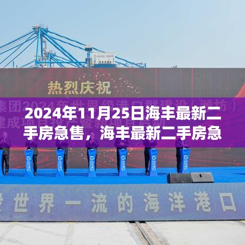 2024年海丰最新二手房急售指南，市场趋势、购房须知与热点解读