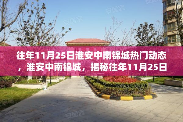 揭秘淮安中南锦城往年11月25日的热门动态