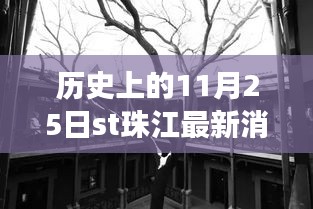 揭秘珠江畔隐秘小巷的特色小店，珠江最新历史消息与非凡故事，11月25日精彩呈现