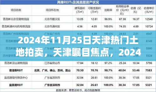 天津热门土地拍卖全景解析，聚焦2024年11月25日瞩目焦点