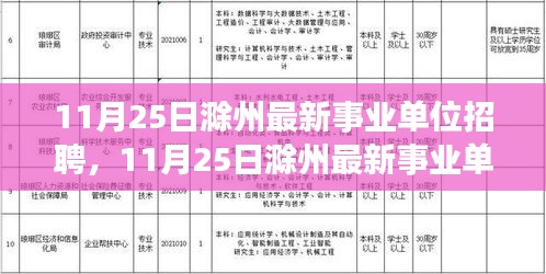 11月25日滁州事业单位最新招聘启事，职业发展的新起点