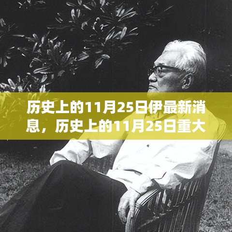 历史上的11月25日，重大事件回顾与最新消息获取指南