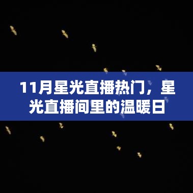 11月星光直播热门，友情璀璨夜的温暖日常