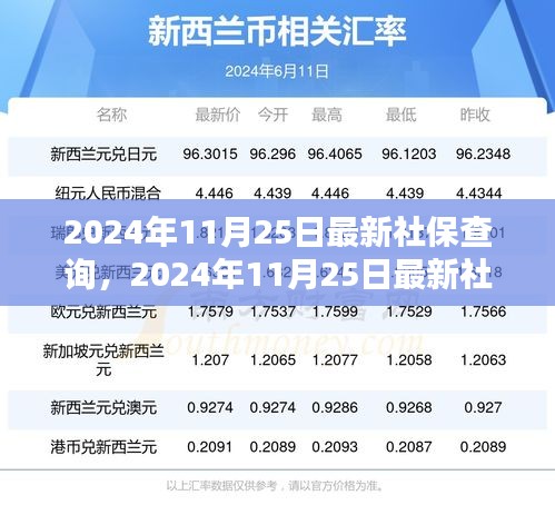 最新社保查询指南，你的社保权益，一目了然（2024年11月25日版）