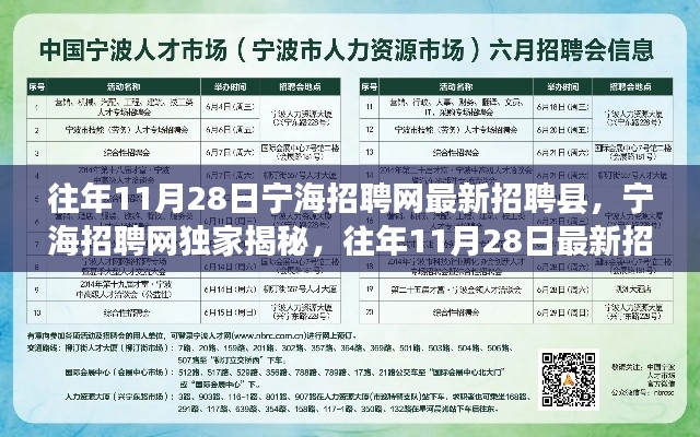 宁海招聘网独家揭秘，历年11月28日县域岗位招聘盛况及最新招聘信息汇总