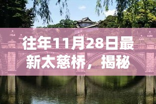 揭秘太慈桥下的惊喜，往年11月28日特色小店探秘之旅