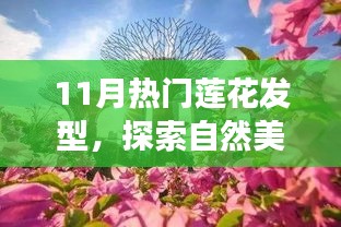 探索自然美景之旅，揭秘11月热门莲花发型，寻找内心的宁静与力量