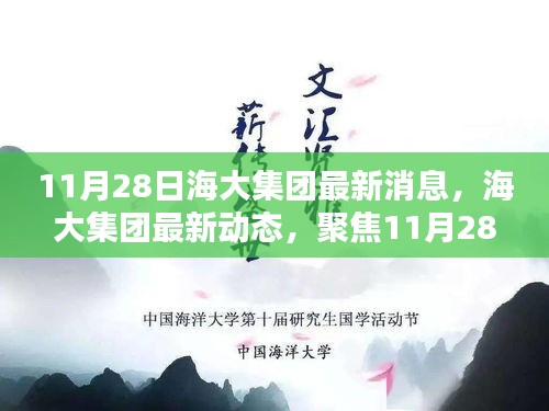 海大集团最新动态，聚焦11月28日重大消息，揭示独特地位