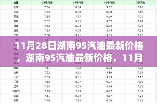 11月28日湖南95汽油最新价格，湖南95汽油最新价格，11月28日的回顾与影响