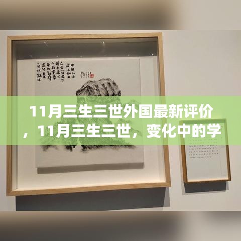 异域评价下的三生三世，学习变迁与自信铸就