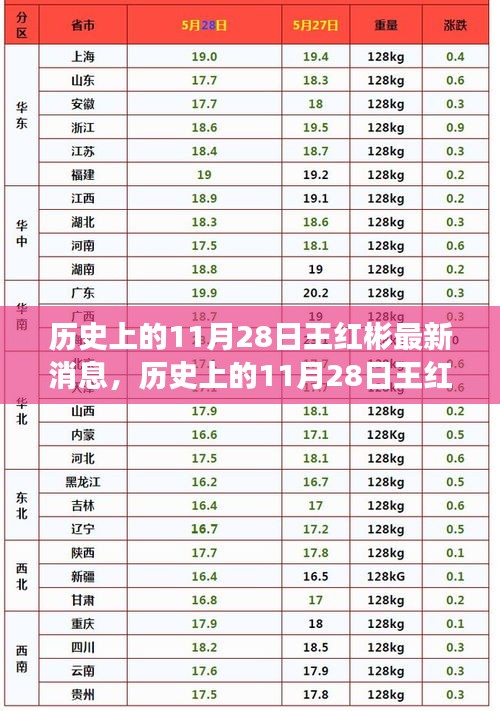 历史上的11月28日王红彬最新消息揭秘，追踪与解读步骤指南