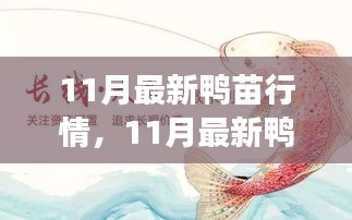 11月鸭苗行情深度解析，市场脉络、关键事件与产业地位探讨