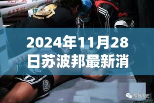 独家揭秘，苏波邦最新动态与深度评测报告（2024年11月28日）