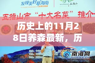 探寻自然美景的奇妙之旅，历史上的美好瞬间与养森之旅回顾