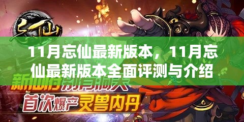 11月忘仙最新版本全面评测与介绍