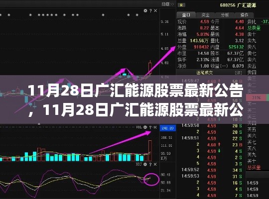 11月28日广汇能源股票最新公告及投资动向与市场前景展望