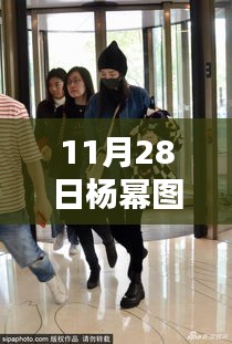 11月28日最新杨幂图片分享与深度解析，聚焦女神风采