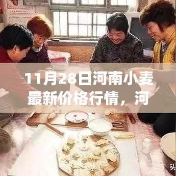 河南小麦最新行情揭秘，学习中的变化与成就感的源泉