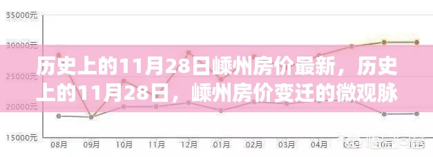 历史上的11月28日嵊州房价变迁，微观脉络与宏观影响解析