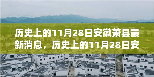 历史上的11月28日安徽萧县最新消息深度解析与评测