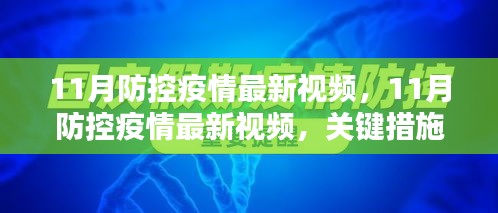 11月防控疫情最新视频，关键措施与案例分析全解析