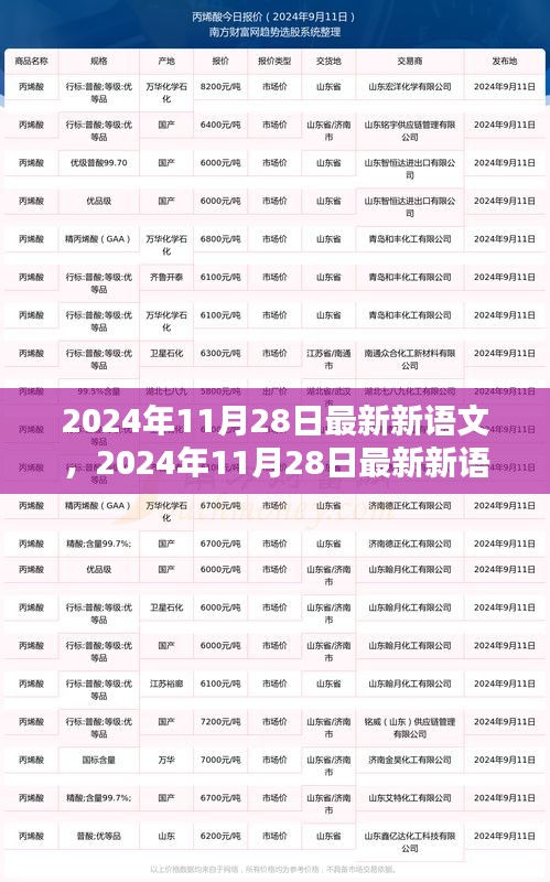 探索语言之美与创新之路，最新新语文2024年11月28日更新