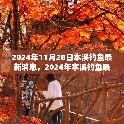 2024年本溪钓鱼新热点探索，秋日垂钓盛宴开启