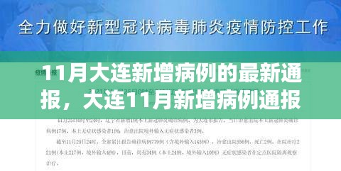 大连11月新增病例最新通报详解，获取最新信息及应对方法指南