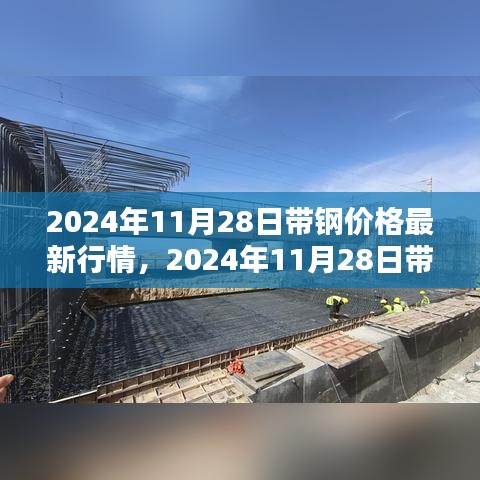 2024年11月28日带钢价格行情深度解析，产品特性、使用体验与竞品对比全面解读