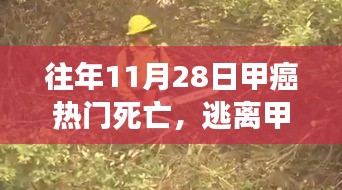 逃离甲癌热门死亡日，与自然美景的邂逅之旅