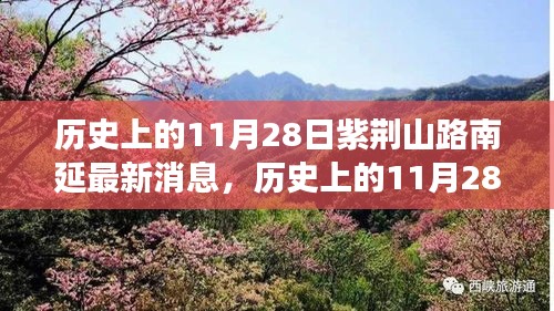 历史上的11月28日紫荆山路南延最新消息，历史上的11月28日，紫荆山路南延工程最新进展报道