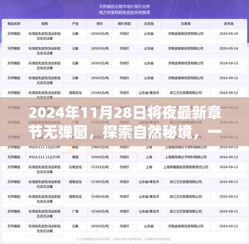 探索自然秘境的心灵之旅，2024年11月28日将夜最新章节无弹窗