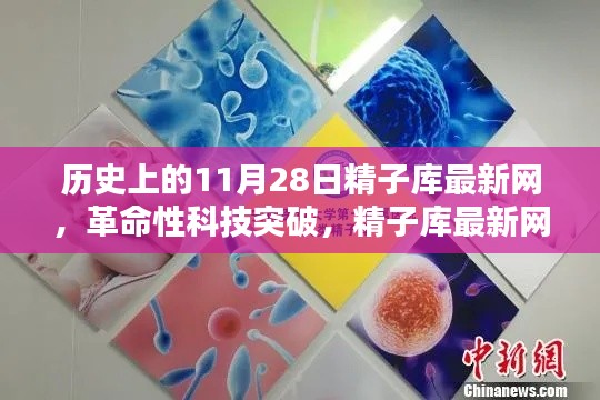 革命性科技突破，精子库最新网的历史性飞跃体验报告——纪念历史上的11月28日