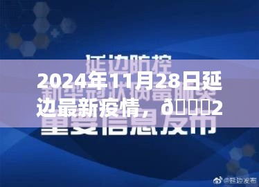 2024年11月28日延边疫情最新动态及防疫进展，应对策略与小红书热议话题